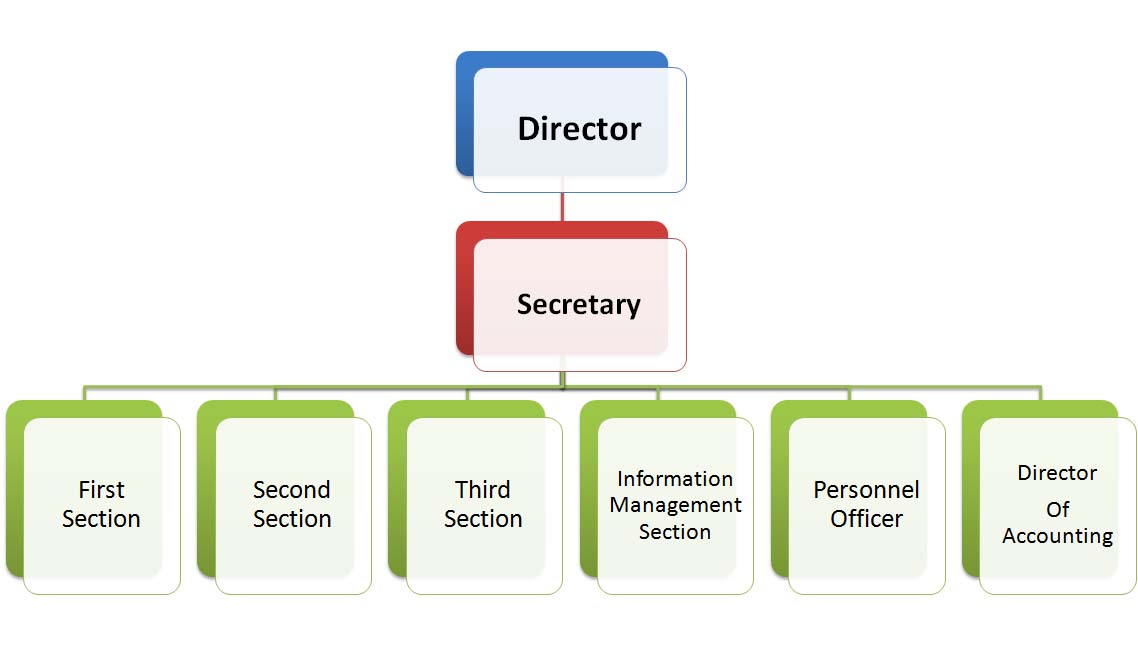 organization organization