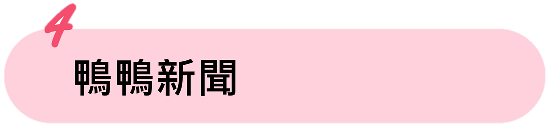 鴨鴨新聞